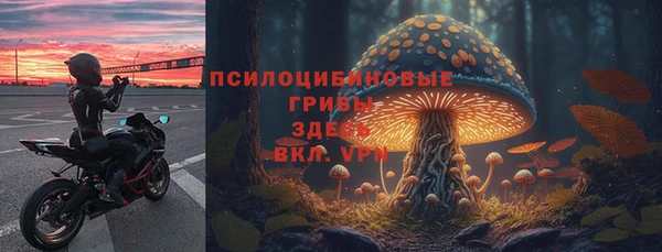 a pvp Магадан
