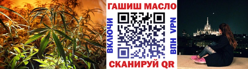 где найти   Хасавюрт  mega ТОР  ТГК концентрат 