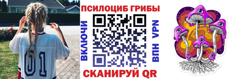 Галлюциногенные грибы Psilocybine cubensis  сколько стоит  Хасавюрт 